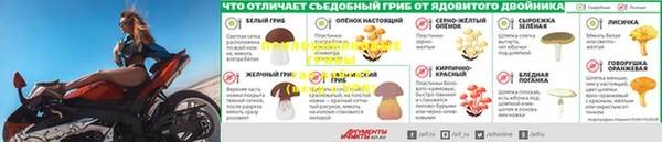 марки lsd Новозыбков