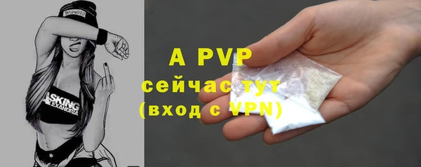 PSILOCYBIN Аркадак