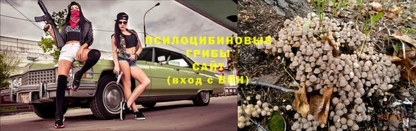 PSILOCYBIN Аркадак