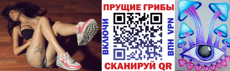 Галлюциногенные грибы Psilocybine cubensis  mega онион  Холм 